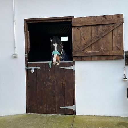 Toddys Hideaway Apartment Cavan Exterior photo